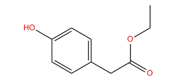 Ethyl (4-hydroxyphenyl)-acetate